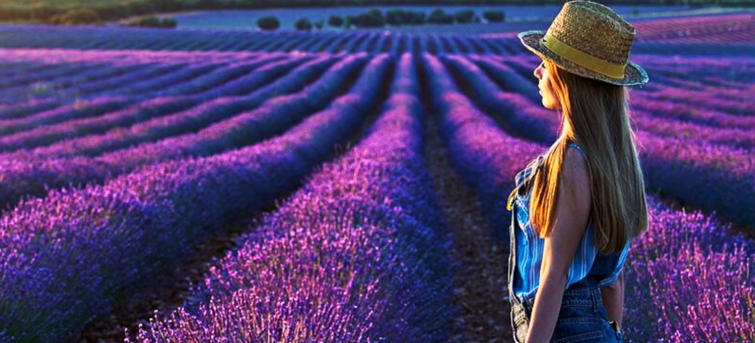 CAMPOS DE LAVANDA  18/19 julho