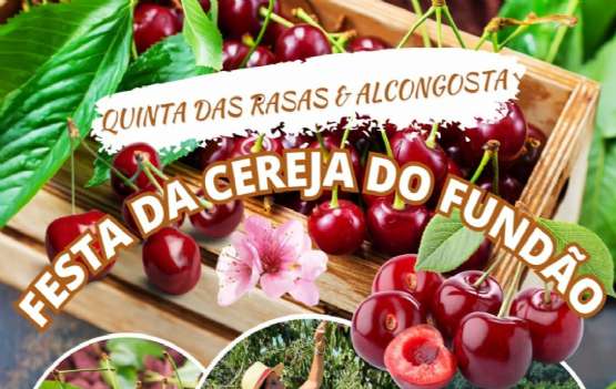 APANHA DA CEREJA NO FUNDÃO - 8 DE JUNHO APANHA DA CEREJA NO FUNDÃO - 8 DE JUNHO