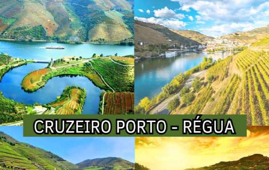 CRUZEIRO PORTO - RÉGUA - 16 E 17 AGOSTO